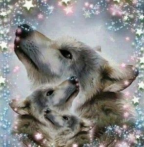 Meet your Posher, Tami-jo